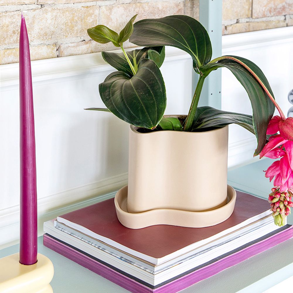 Pottery - Silhouette pot w/saucer - STENCES