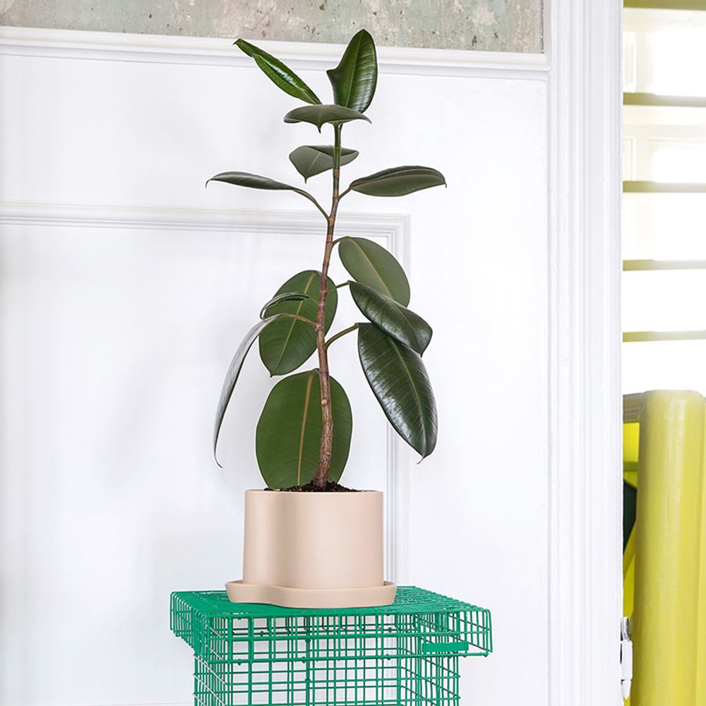 Pottery - Silhouette pot w/saucer - STENCES