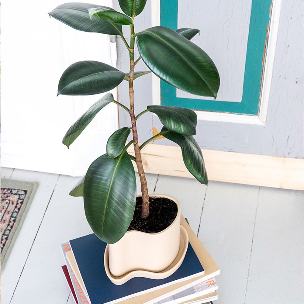 Pottery - Silhouette pot w/saucer - STENCES