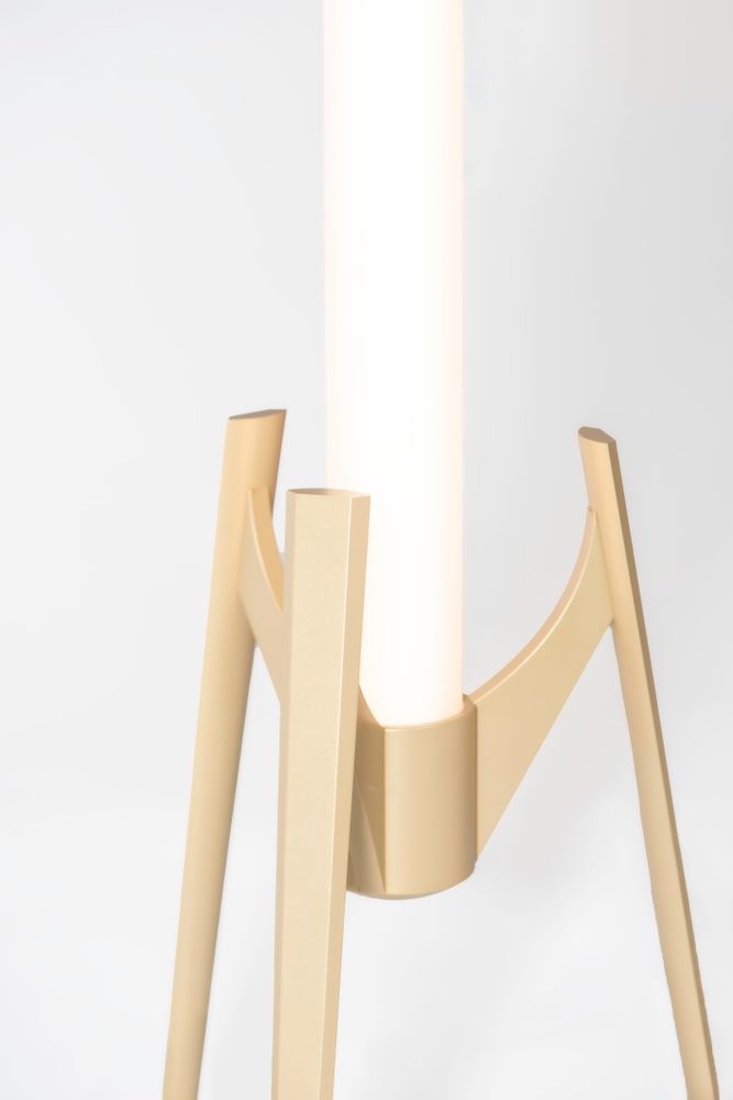 Table lamps - Head in Stars I Gold - SOFTICATED
