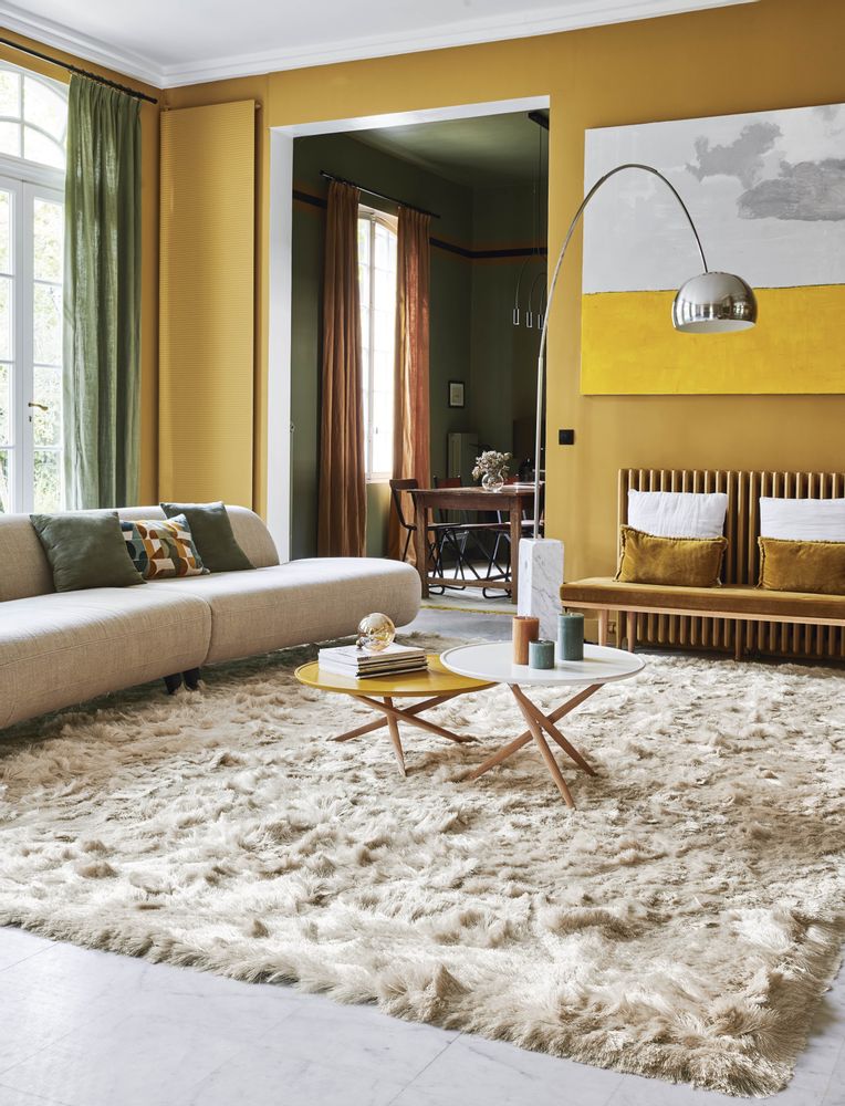 Contemporary carpets - TWIGGY Rug - TOULEMONDE BOCHART