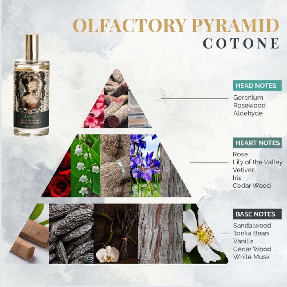 Linge - Seta, Velluto, Cashmere, Cotone & Lino - Parfum pour lin - LOGEVY FIRENZE 1965