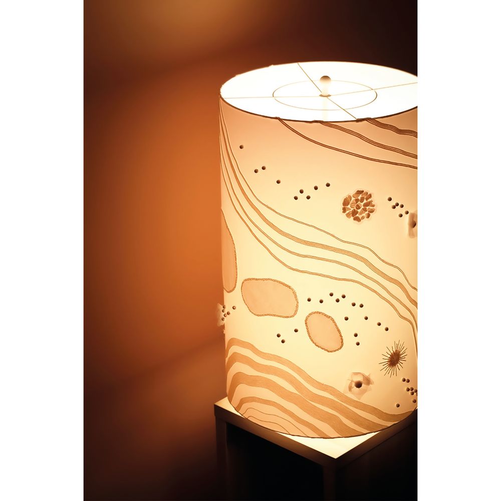 Lampes à poser - Lampe brodée VOLTIGES - MAISON DUCHÉNOY