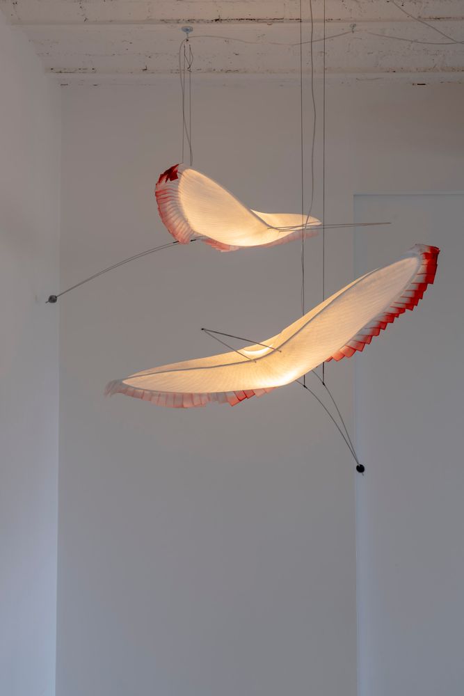 Hanging lights - L'oiseau à plumes colorées - CELINE WRIGHT