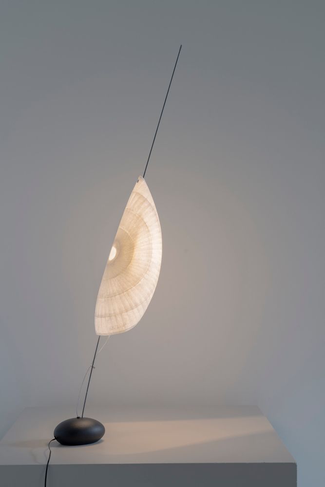Table lamps - Coquillage - CELINE WRIGHT
