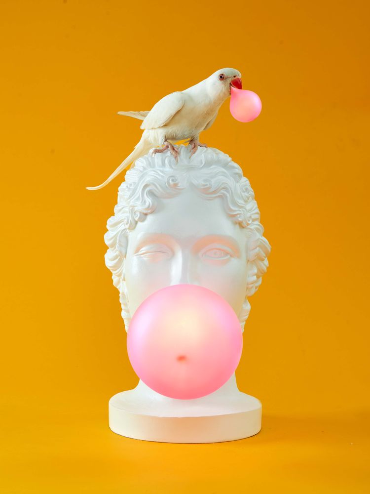 Objets design - LIGHTNING AND DECORATIVE OBJECT - SELETTI