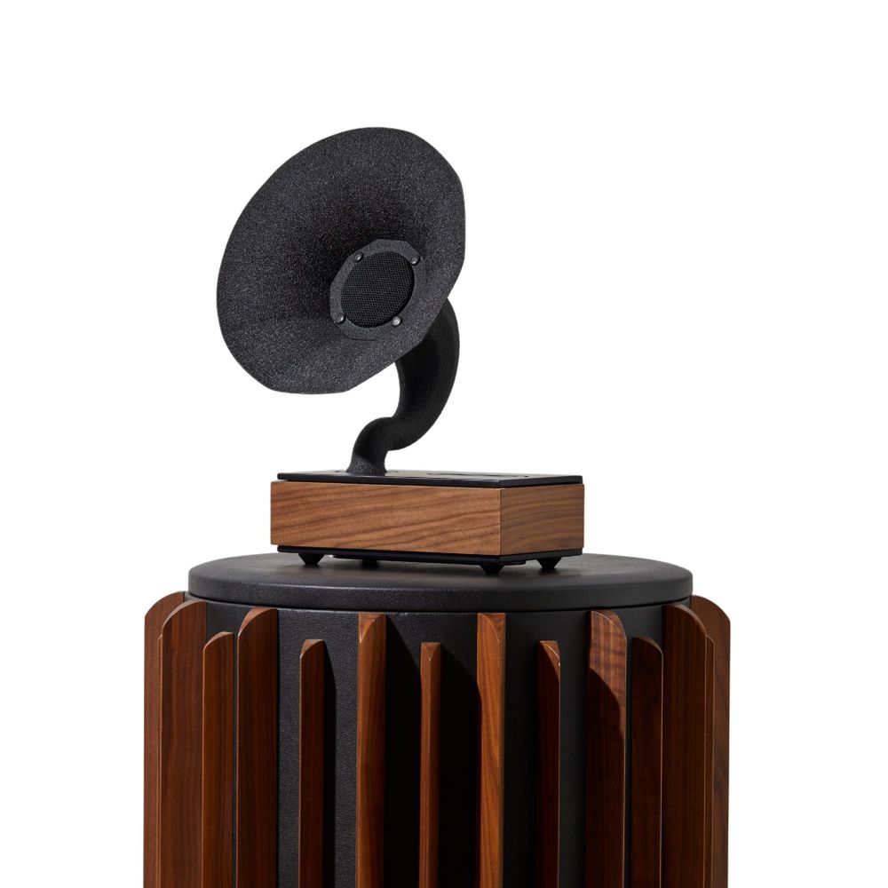 Speakers and radios - Acoustibox - Walnut Speaker - ACOUSTIBOX