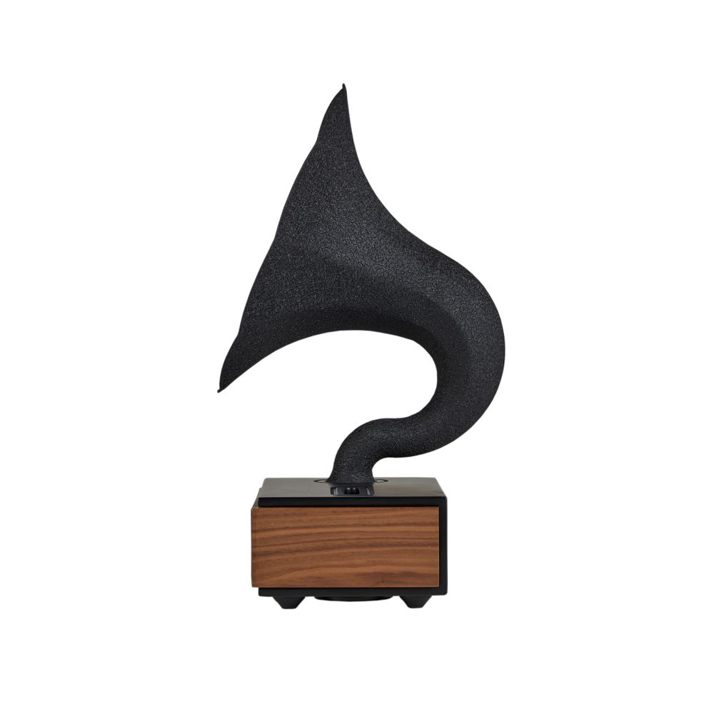 Speakers and radios - Acoustibox - Walnut Speaker - ACOUSTIBOX