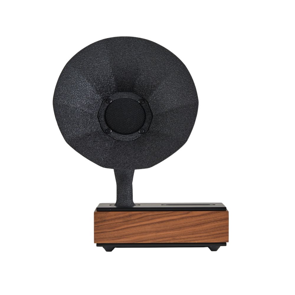 Speakers and radios - Acoustibox - Walnut Speaker - ACOUSTIBOX