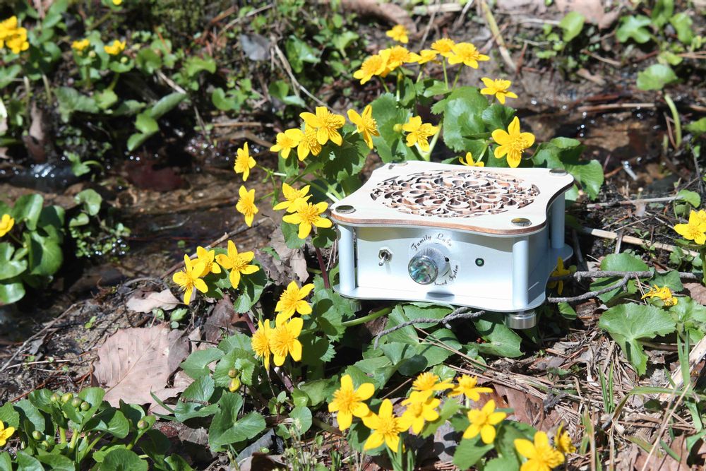Speakers and radios - Flora - FAMILY LABO SOUND SYSTEM