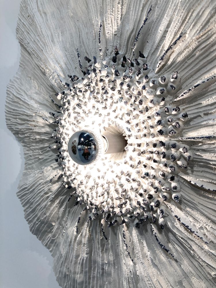 Wall lamps - POLLEN and OTHERS wall decoration - VERO REATO