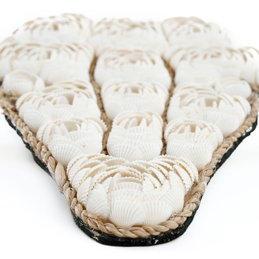 Decorative objects - The Bull Shell - White - BAZAR BIZAR LIVING