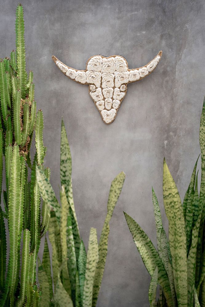Decorative objects - The Bull Shell - White - BAZAR BIZAR LIVING