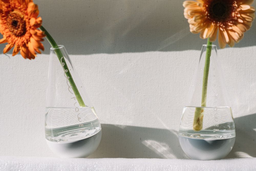 Vases - Rolypoly vase - BMIX STUDIO