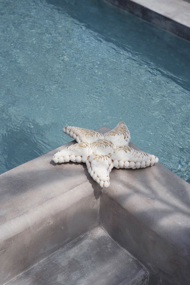 Design objects - The Star Shell - White - L - BAZAR BIZAR LIVING