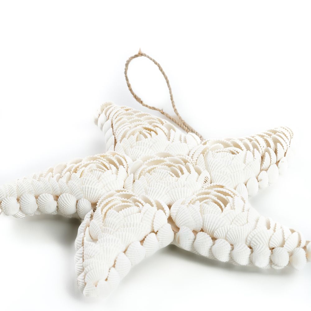 Design objects - The Star Shell - White - L - BAZAR BIZAR LIVING