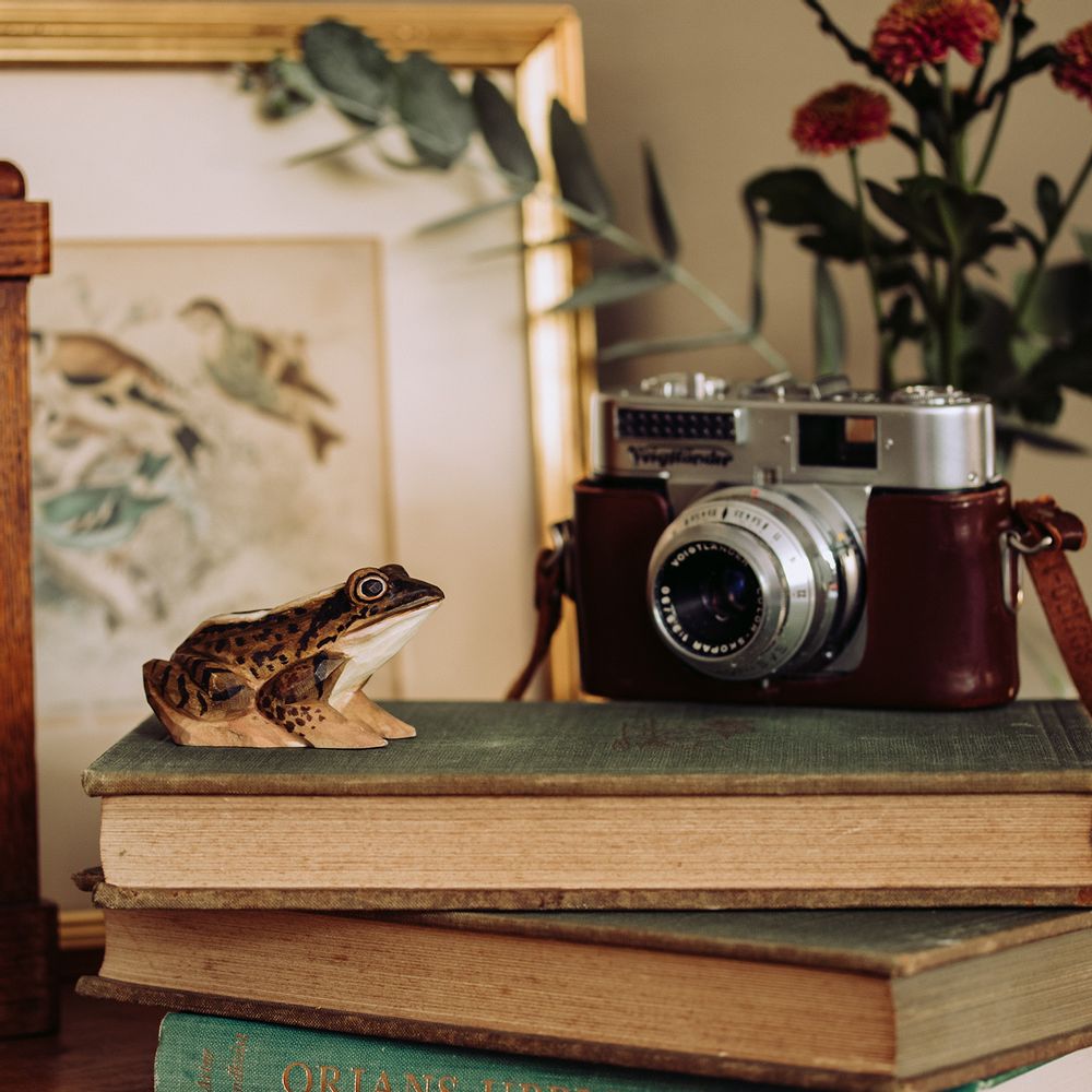 Decorative objects - Hand Carved Animals - WILDLIFE GARDEN