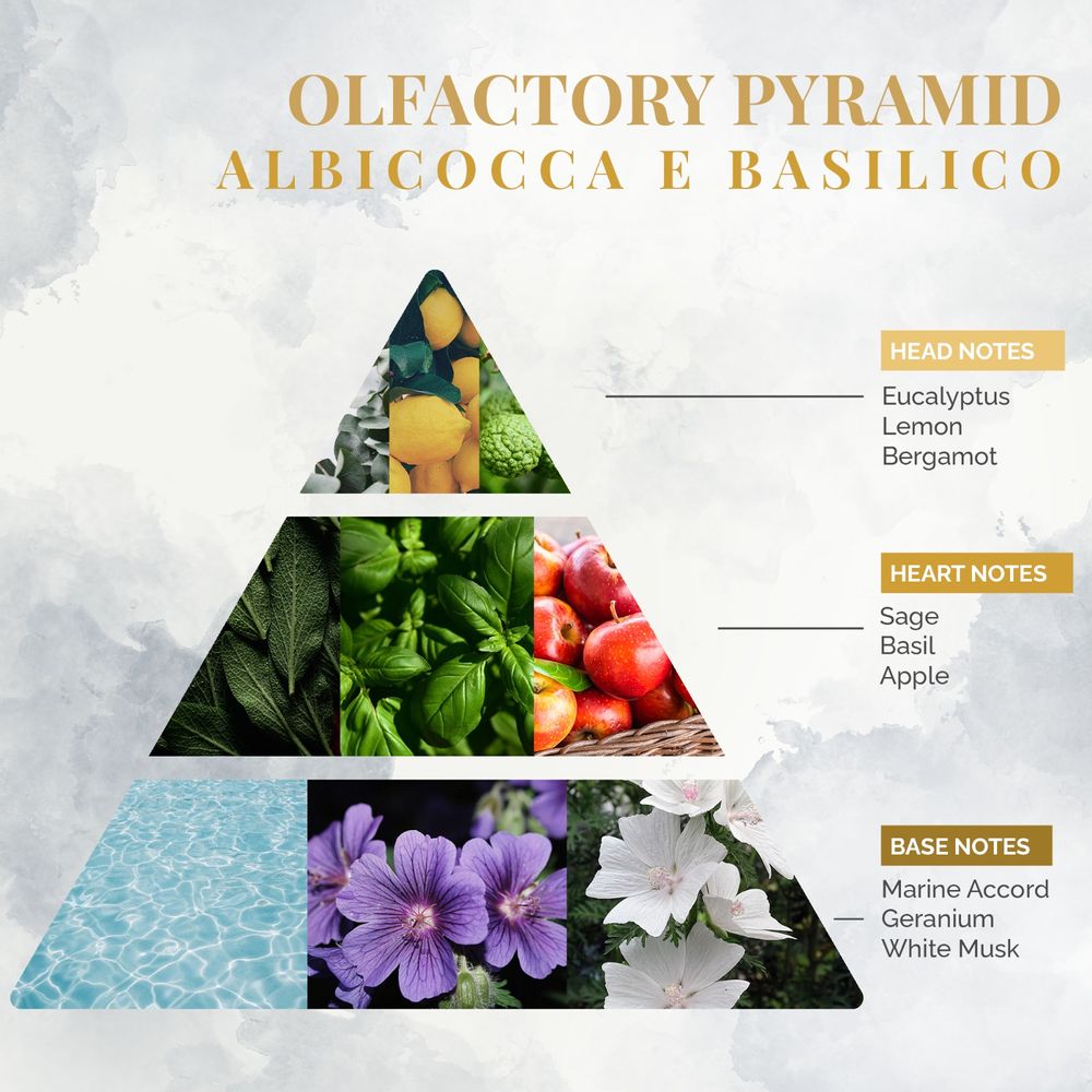 Home fragrances - Albicocca e Basilico - Home Fragrance - LOGEVY FIRENZE 1965