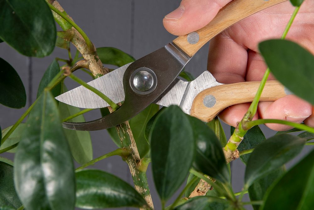 Accessoires de jardinage - Garden tools : outils de jardin, tabliers, pots à rempoter, voiles d'hivernage, gants de jardin - ESSCHERT DESIGN
