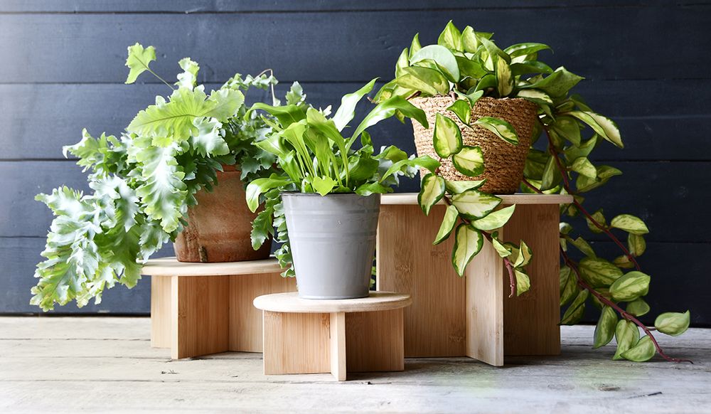 Garden accessories - Esschert's Garden, Water in the Garden: Each garden can be special with our ecological and nature-friendly products (saving water, etc...) - ESSCHERT DESIGN