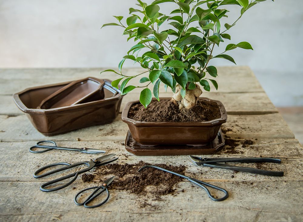 Garden accessories - Esschert's Garden, Water in the Garden: Each garden can be special with our ecological and nature-friendly products (saving water, etc...) - ESSCHERT DESIGN
