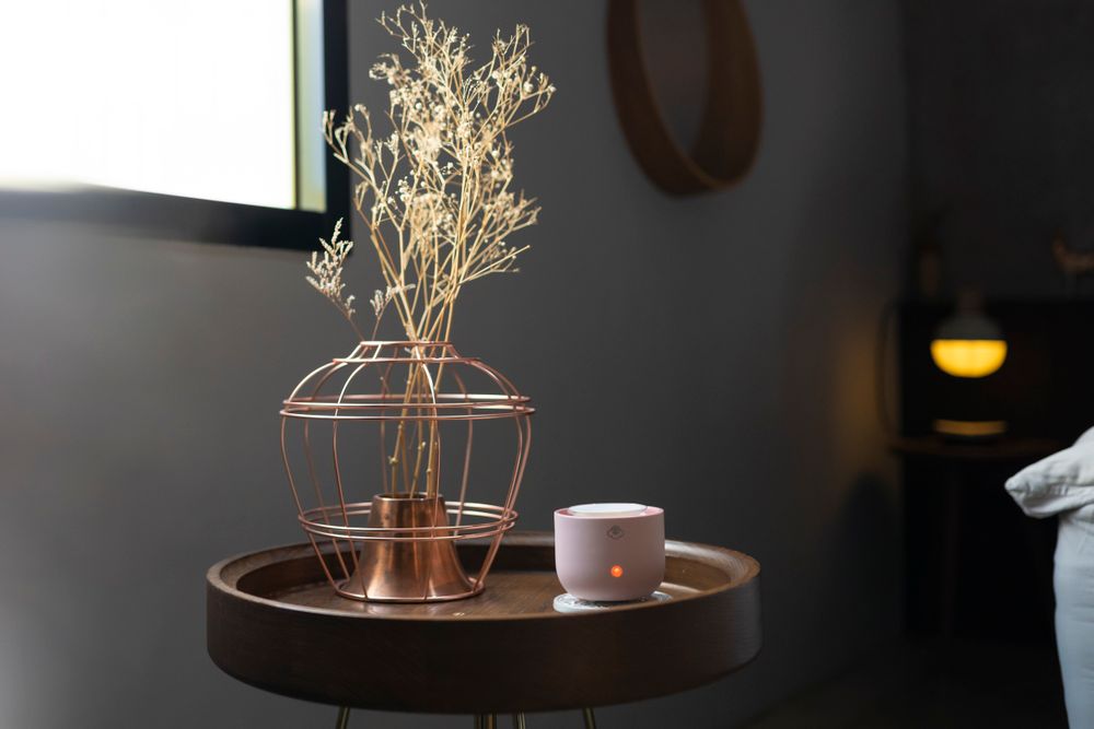 Objets de décoration - Chauffe-cire électrique Sprout - SERENE HOUSE
