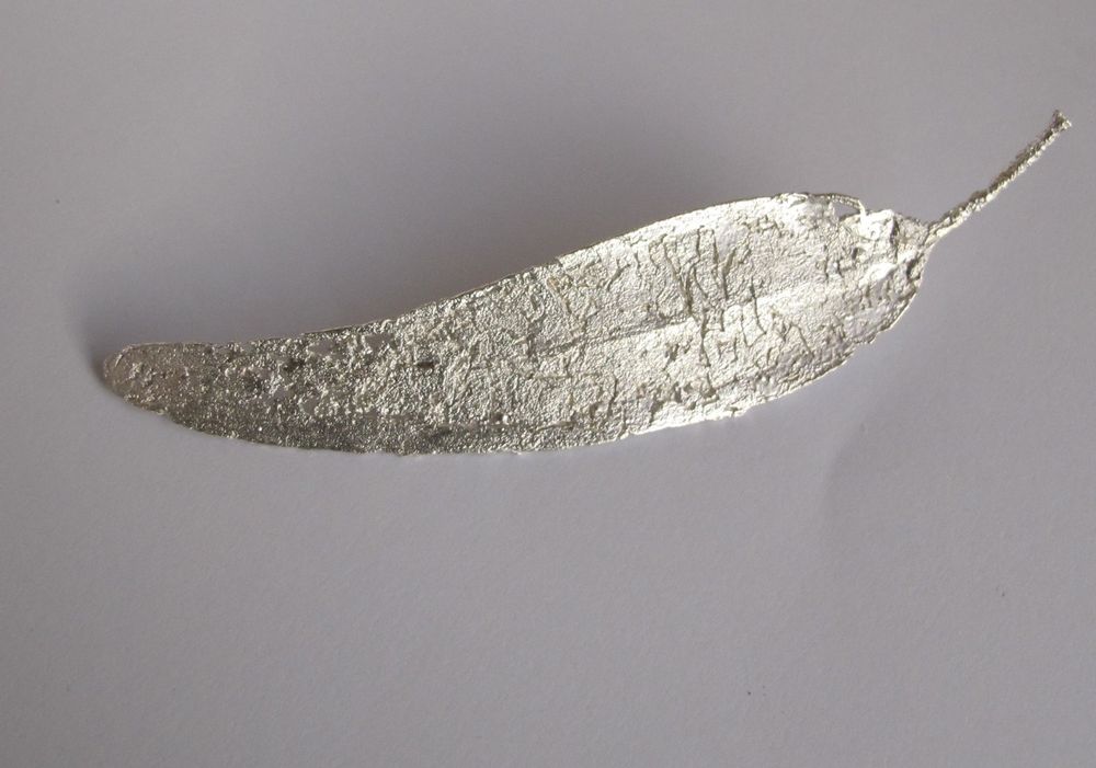 Jewelry - Brooch Eucalyptus leaf ND22 228 - LITTLE NOTHING - PAULA CASTRO