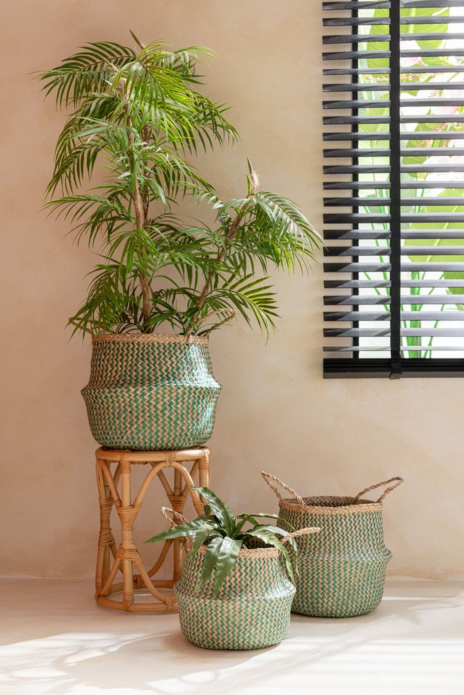Decorative objects - Papaya Punch - J-LINE BY JOLIPA