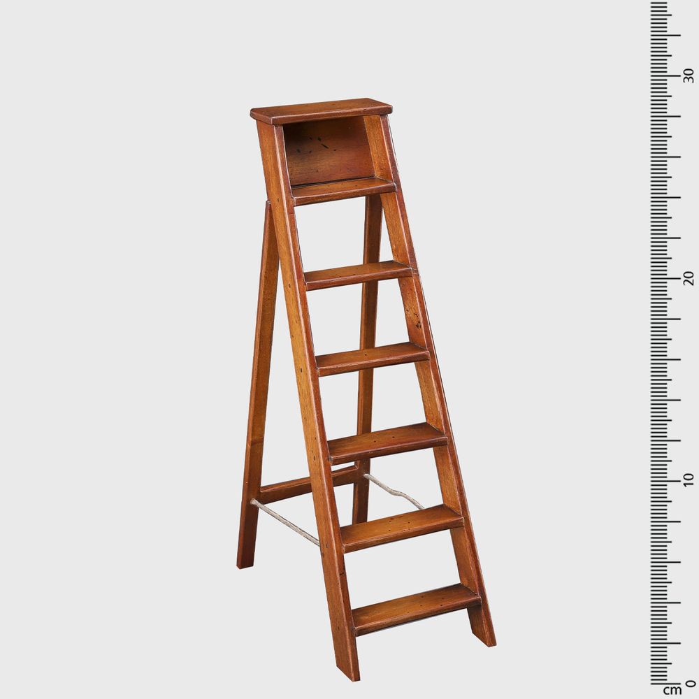 Sculptures, statuettes and miniatures - LIBRARY STEPS COLLECTION - TOURD'HORIZON