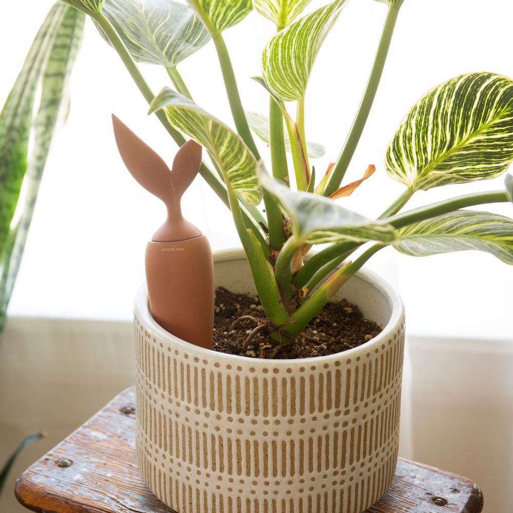 Floral decoration - Terracotta SPRINKLER STICK - KIKKERLAND