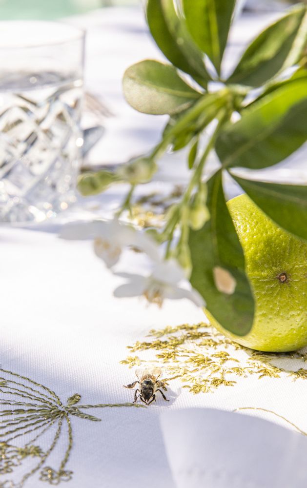 Table linen - Ombelle - Tablecloth - ALEXANDRE TURPAULT