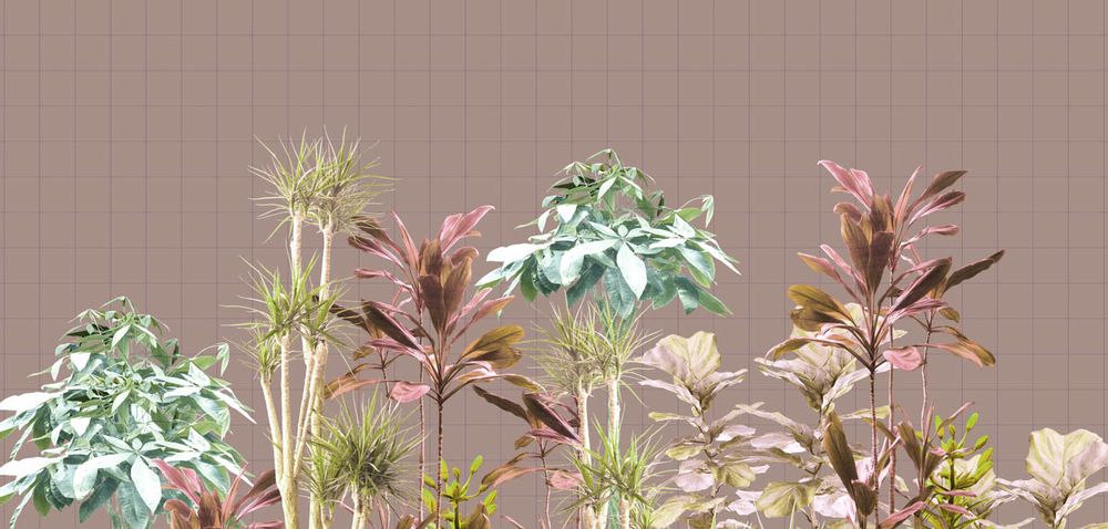 Wallpaper - Wonderplants I - TEXTURAE