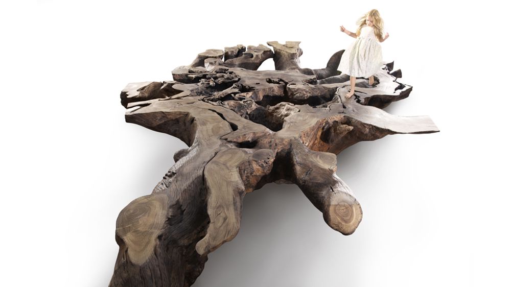 Garden accessories - Tupã Tree Root - TORA BRASIL