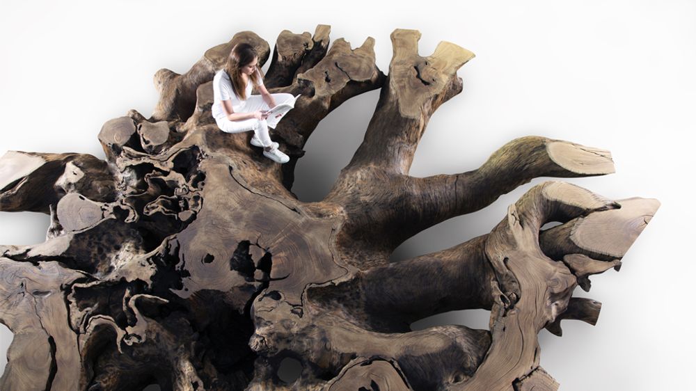 Garden accessories - Tupã Tree Root - TORA BRASIL