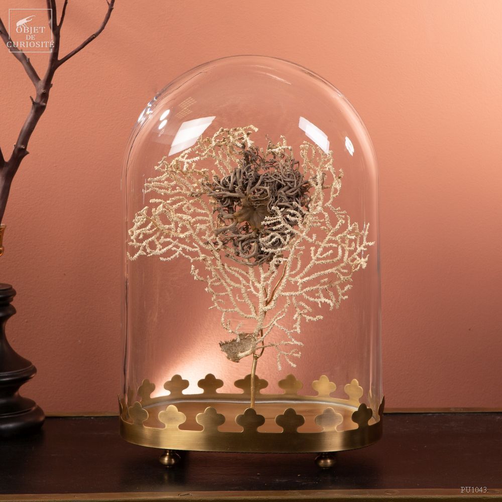 Unique pieces - category to be defined - OBJET DE CURIOSITÉ