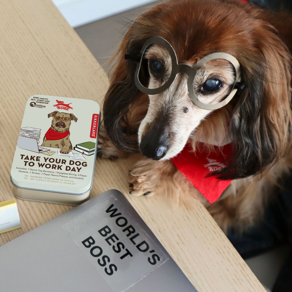 Accessoires animaux - BOÎTE JOUR DE BUREAU KOBE - KIKKERLAND