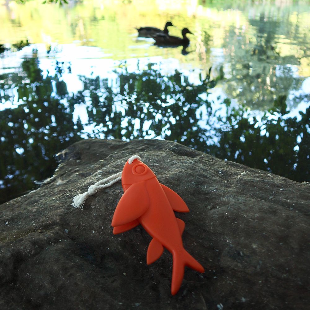 Pet accessories - FLOATING FISH TOY - KIKKERLAND