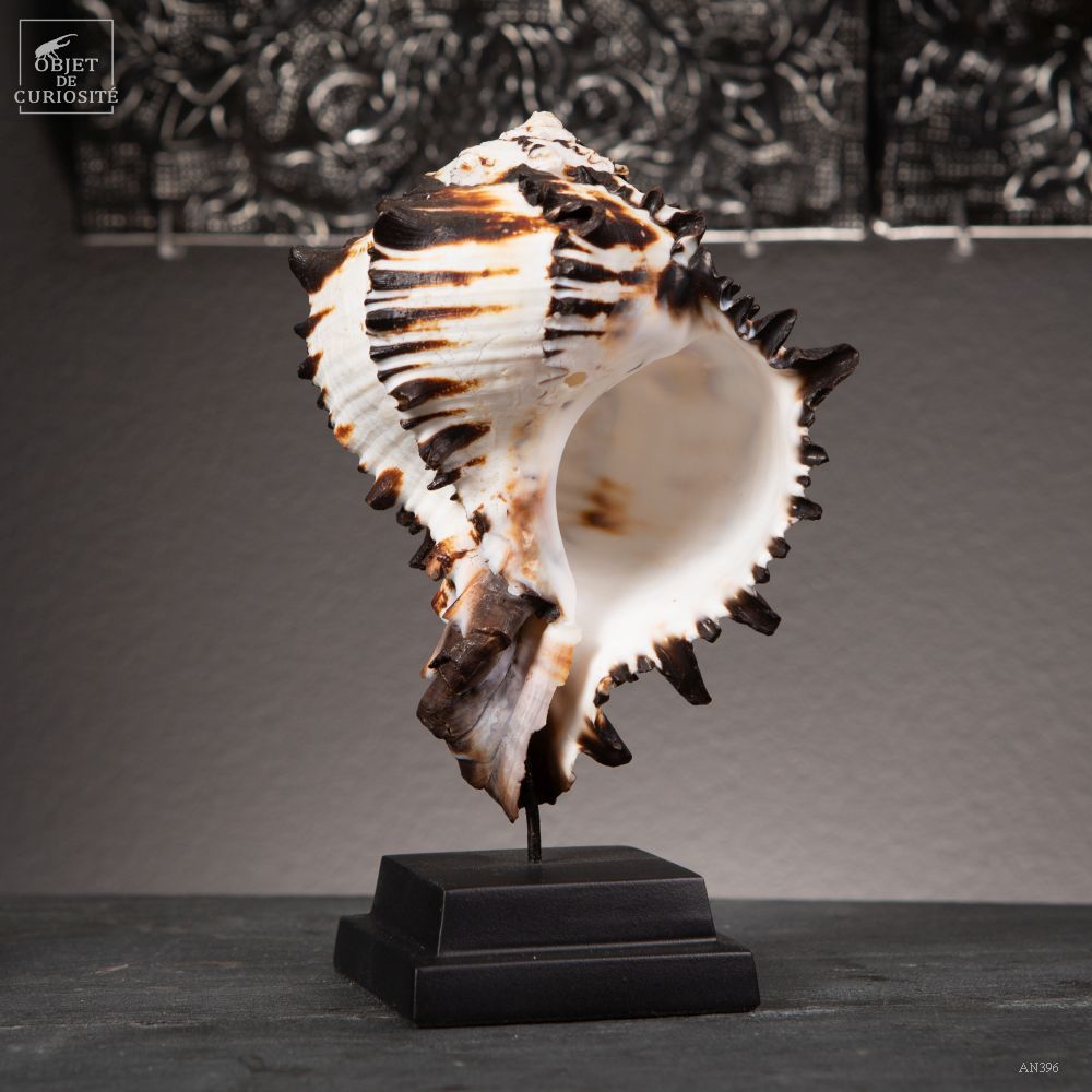 Decorative objects - Rainbow crystal box - OBJET DE CURIOSITÉ