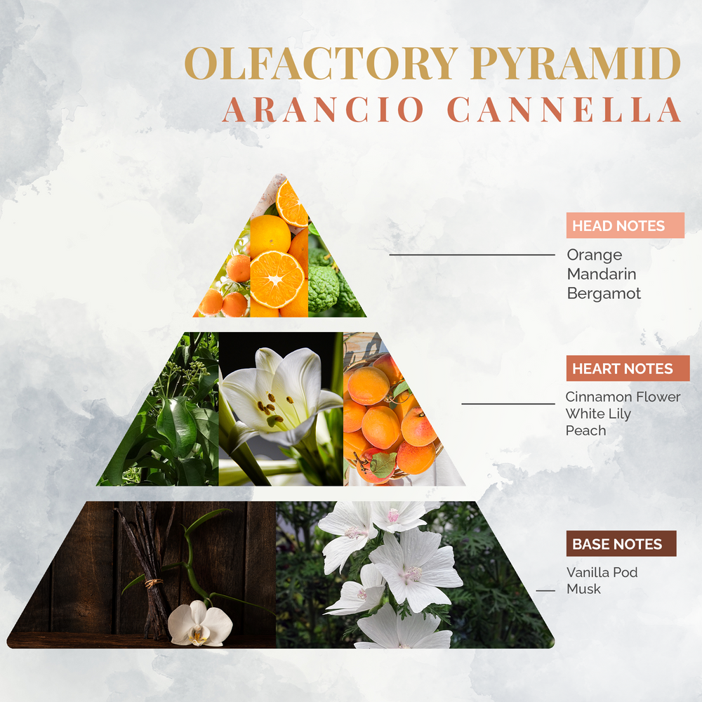 Objets de décoration - Arancio Cannella - Parfum d'intérieur - LOGEVY FIRENZE 1965
