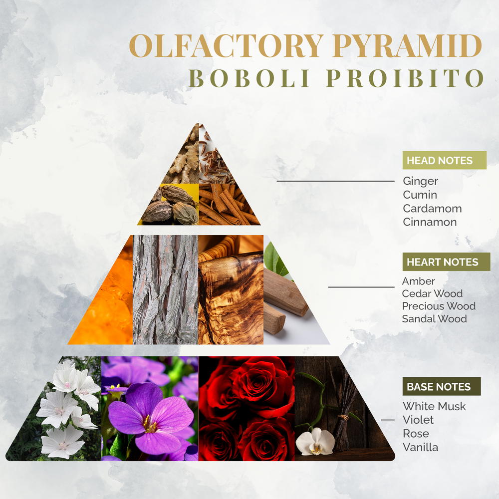 Home fragrances - Boboli Proibito - Home Fragrance - LOGEVY FIRENZE 1965