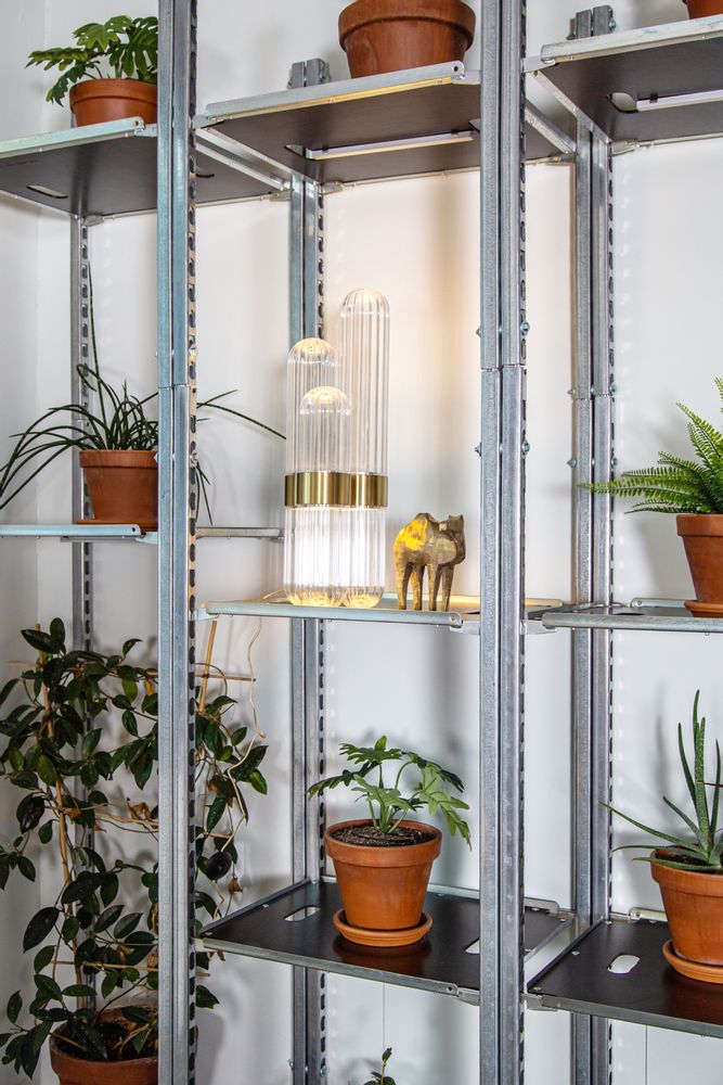 Lampes de table - cactus - PULPO