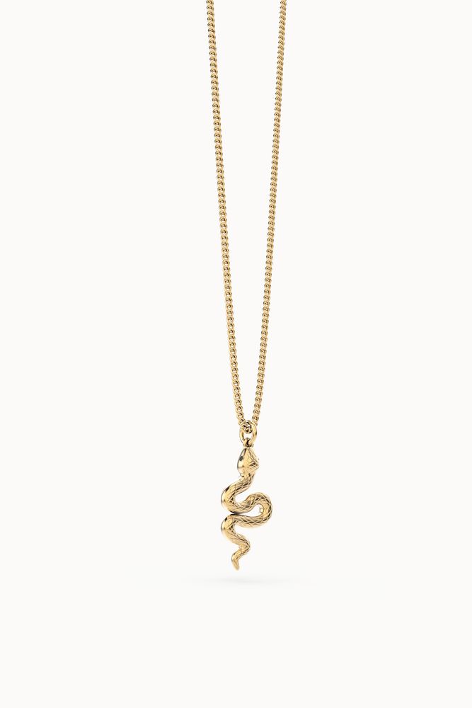Jewelry - Snake Necklace - CHOCLI