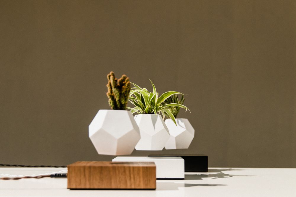 Objets design - FLYTE LYFE Jardin flottant - FLYTE