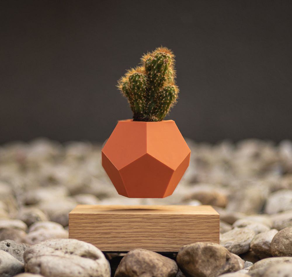 Objets design - FLYTE LYFE Jardin flottant - FLYTE