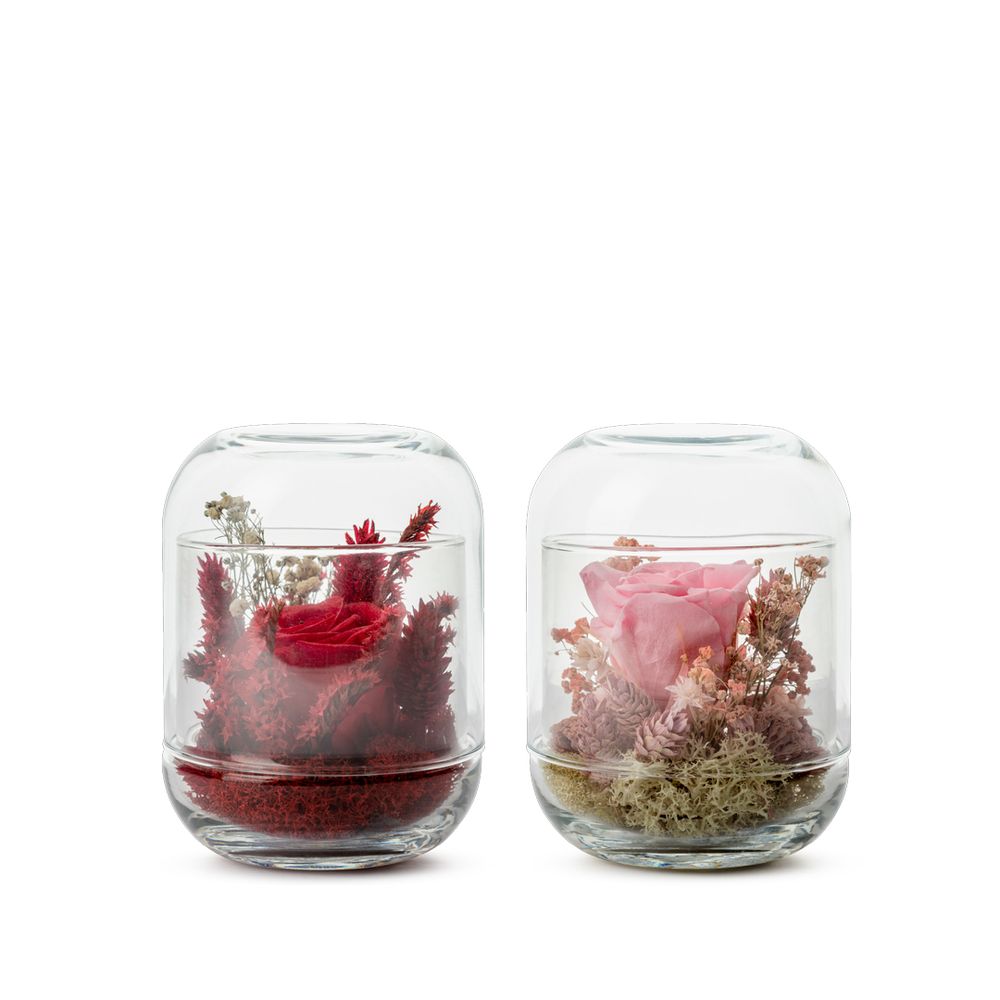Floral decoration - STABILIZED VERRINES COLLECTION - NATURALYS