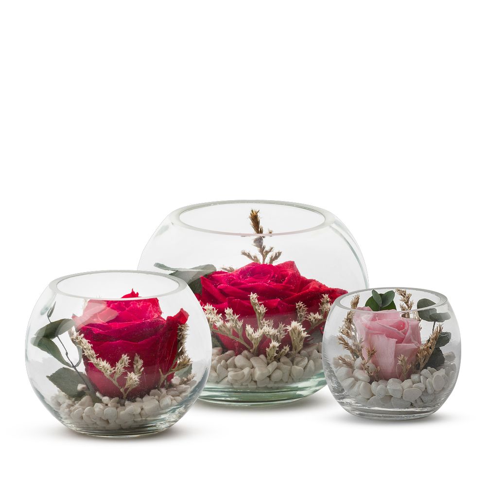 Floral decoration - STABILIZED VERRINES COLLECTION - NATURALYS