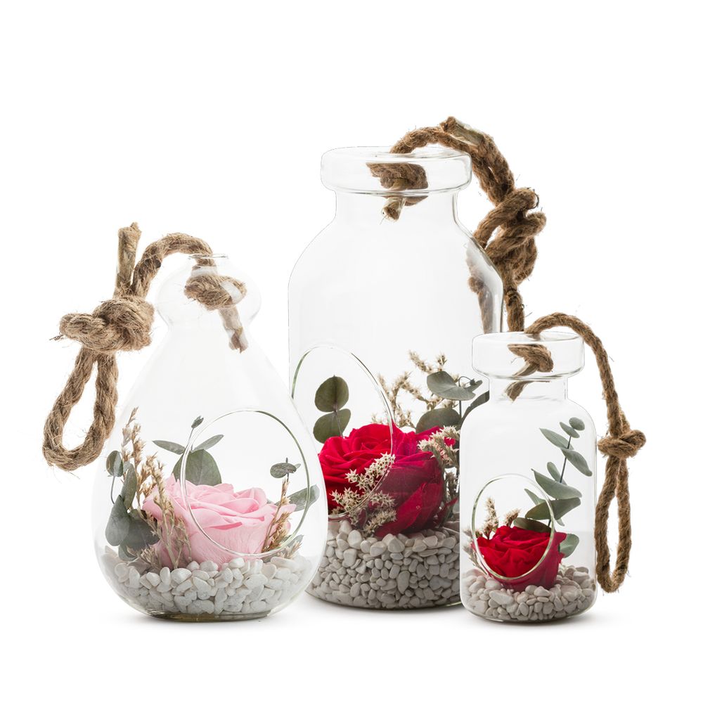 Floral decoration - STABILIZED VERRINES COLLECTION - NATURALYS