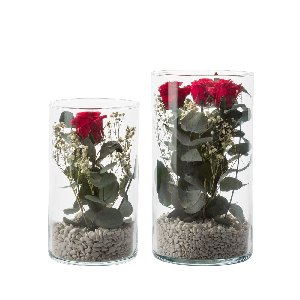 Floral decoration - STABILIZED VERRINES COLLECTION - NATURALYS