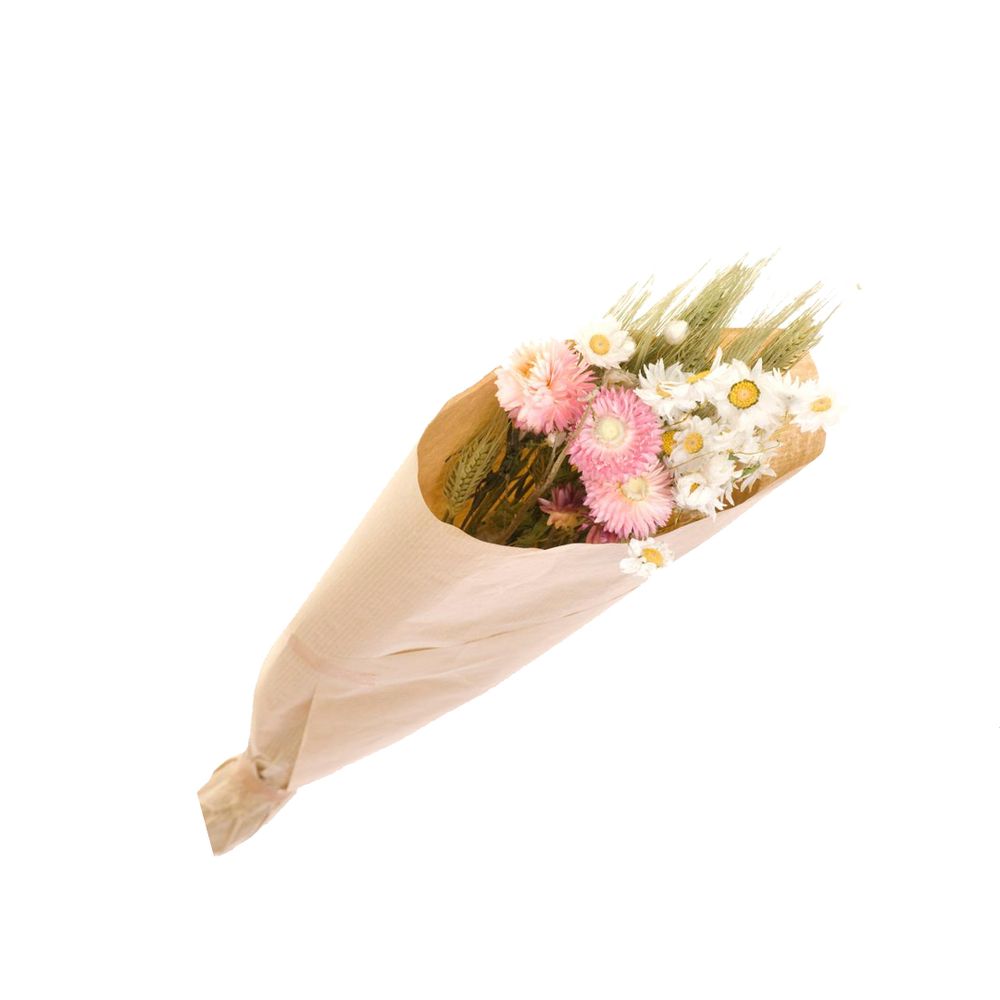 Decorative objects - MUR VEGETAL - NATURALYS