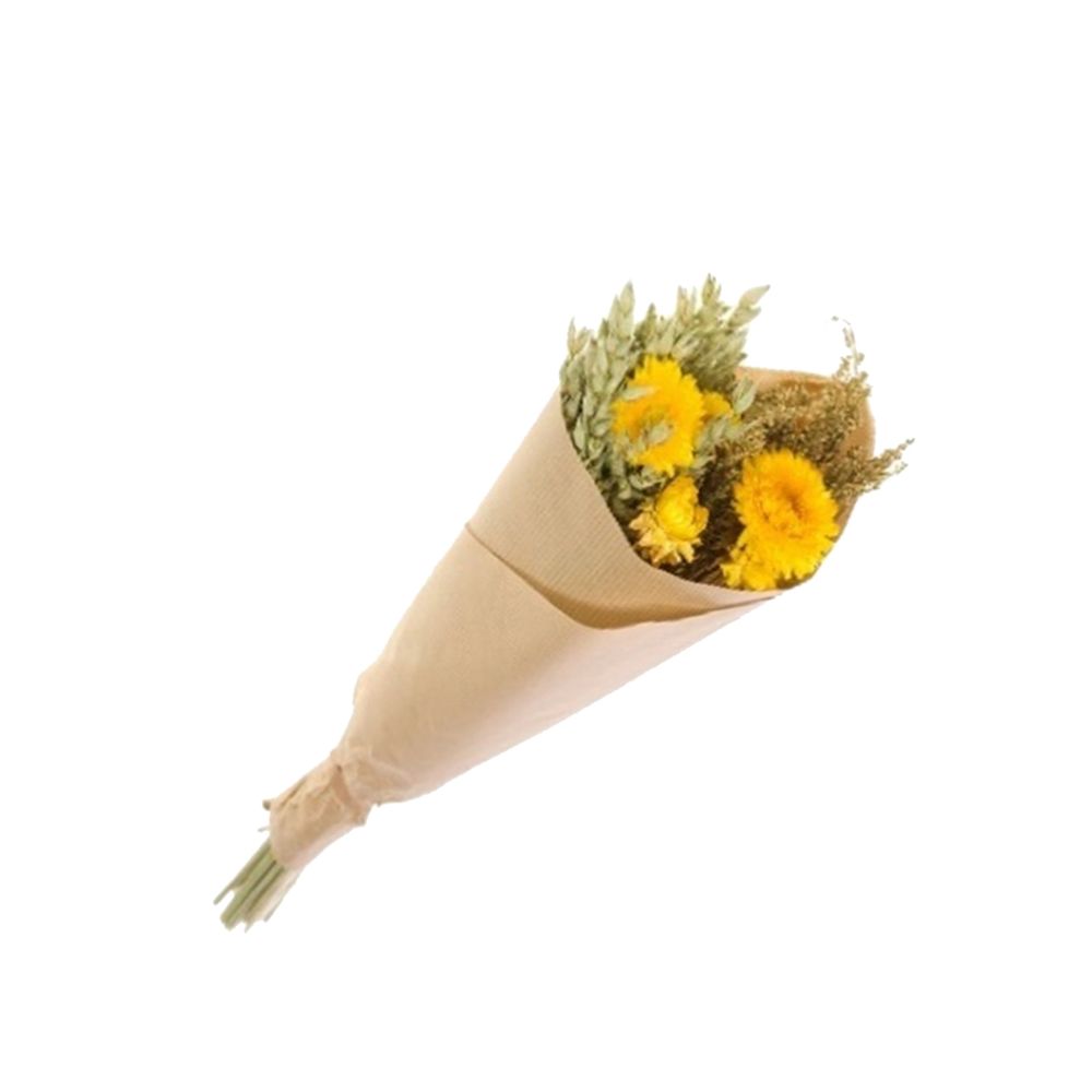 Decorative objects - MUR VEGETAL - NATURALYS